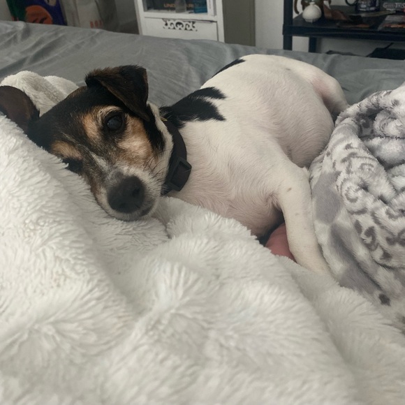 Meet your Posher, Nikolette - Picture 5 of 16